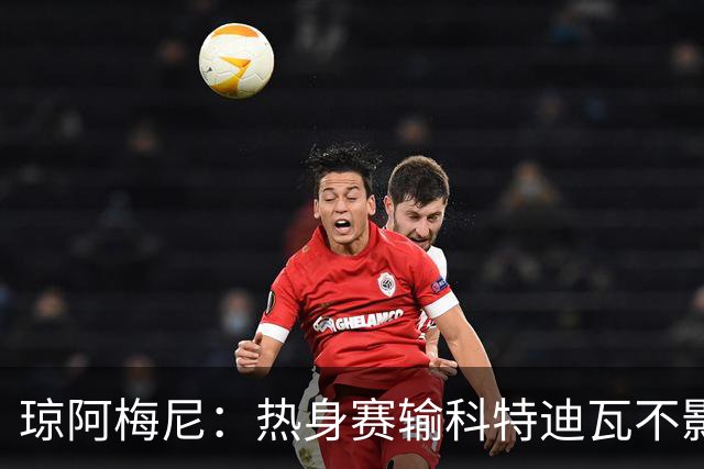 琼阿梅尼：热身赛输科特迪瓦不影响法国，可以说是一次小小的提醒